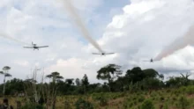 Uso de aviones para asperjar glisofato en bosques de Colombia